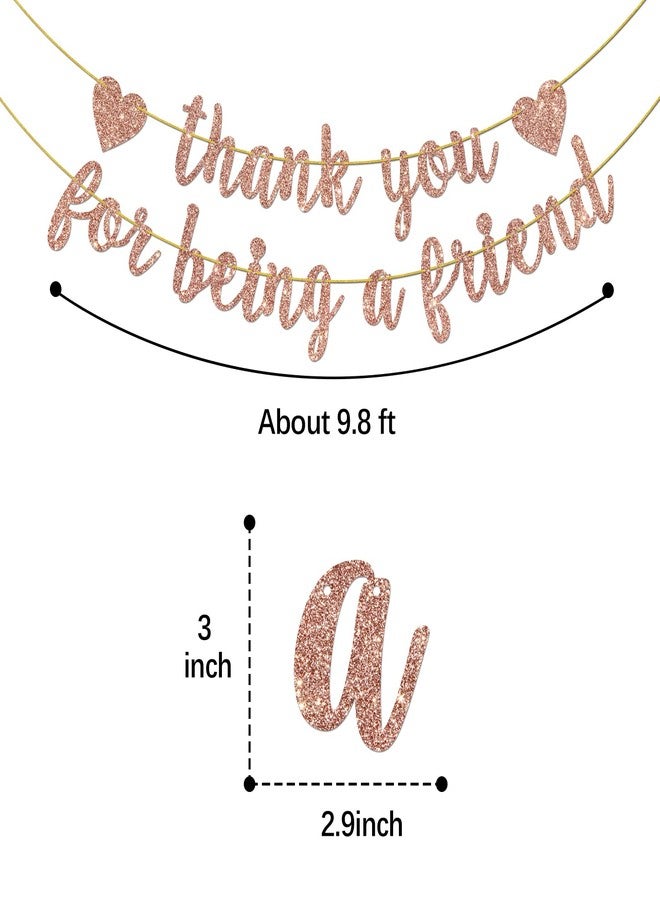 Helewilk Thank You for Being a Friend Banner, Girls Party Decorations, Thank You Party Banner, Friends Birthday/Anniversary/Graduation Party Hanging Decor Supplies - Image 2