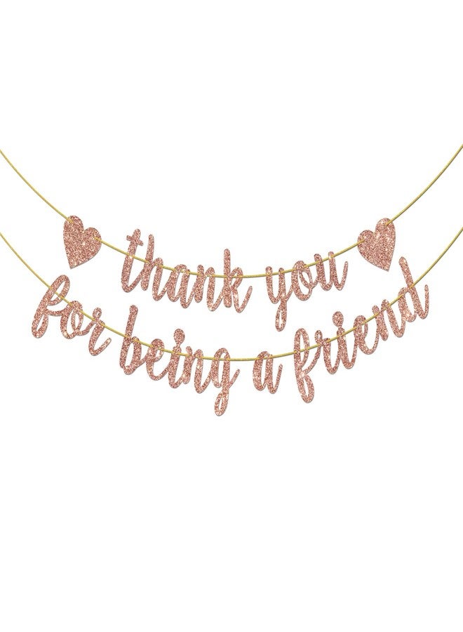 Helewilk Thank You for Being a Friend Banner, Girls Party Decorations, Thank You Party Banner, Friends Birthday/Anniversary/Graduation Party Hanging Decor Supplies - Image 1