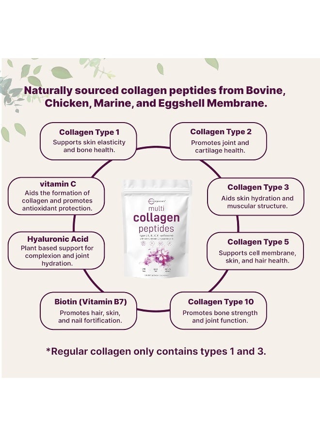 Multi Collagen Protein Powder, 2 Pounds – Type I,Ii,Iii,V,X With Biotin 10000Mcg, Hyaluronic Acid, Vitamin C – Unflavored Collagen Peptides – Keto & Paleo Friendly, Easy Dissolve, Non-Gmo