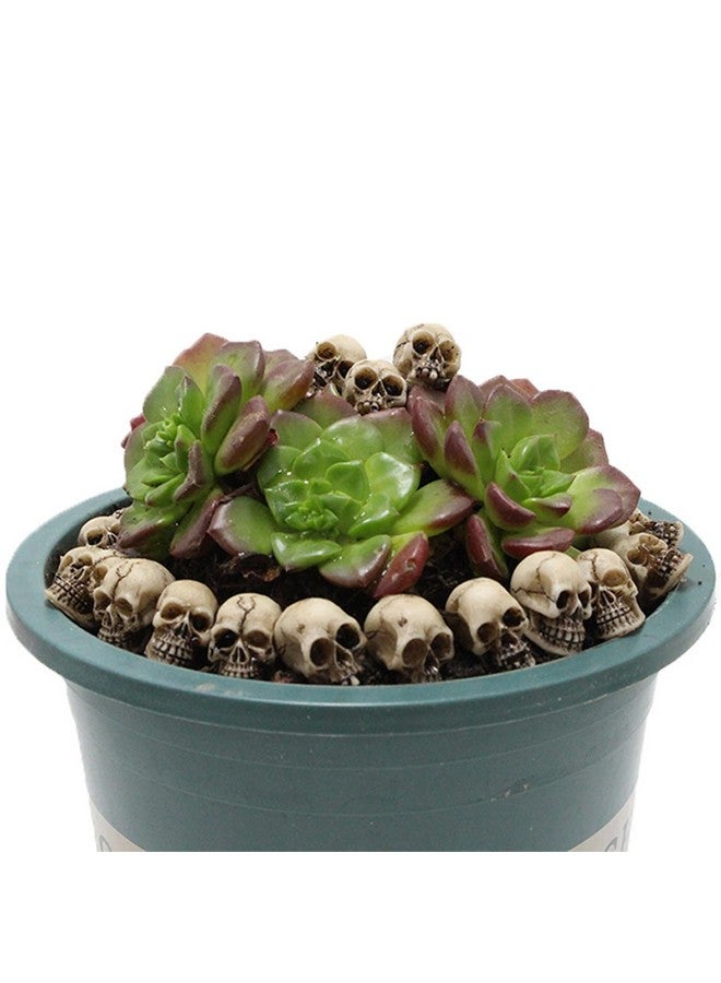 BinaryABC تمثال جمجمة صغير من BinaryABC، رأس هيكل عظمي مصغر، ديكور طاولة، شخصية ميكرو لعيد الهالوين، أدوات مزاح لعيد الهالوين، إكسسوارات منزل مسكون، 20 قطعة - Image 3