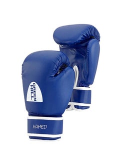 BOXING GLOVES HAMED WITH TARGET - pzsku/Z20920B25E80E81DBE649Z/45/_/1715240088/84fc13ff-7ba3-4050-b6f5-ae358039b8b7