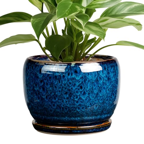 SQOWL Ceramic Planter 8 Inch - Pot for Indoor Outdoor Plants Round Ceramic Plant Pot with Drainage Hole and Saucer Modern Flower Pot Glazed Blue - Image 1