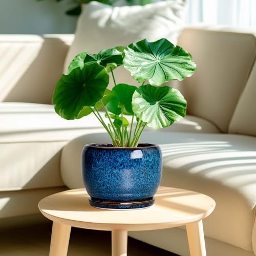 SQOWL Ceramic Planter 8 Inch - Pot for Indoor Outdoor Plants Round Ceramic Plant Pot with Drainage Hole and Saucer Modern Flower Pot Glazed Blue - Image 2