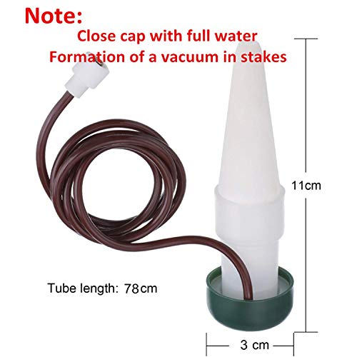 HESTYA 8 Pack Plant Self Watering Stakes Insert Automatic Watering Devices Self Watering Spikes Indoor Outdoor Plant Watering for Vacation - Image 2