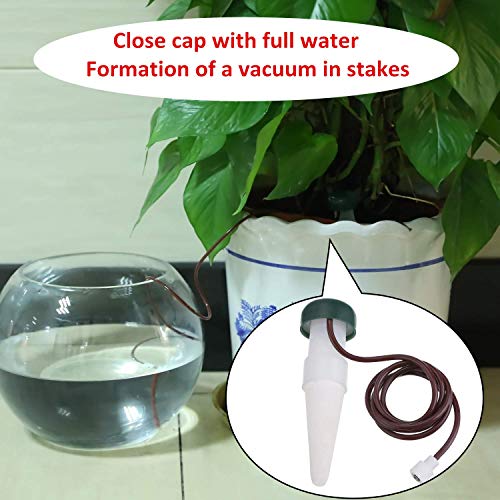 HESTYA 8 Pack Plant Self Watering Stakes Insert Automatic Watering Devices Self Watering Spikes Indoor Outdoor Plant Watering for Vacation - Image 5
