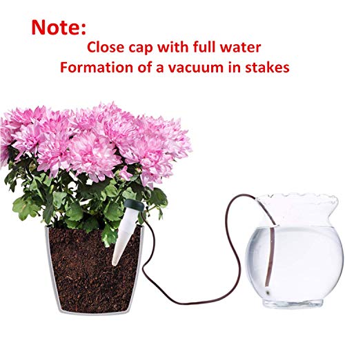 HESTYA 8 Pack Plant Self Watering Stakes Insert Automatic Watering Devices Self Watering Spikes Indoor Outdoor Plant Watering for Vacation - Image 4