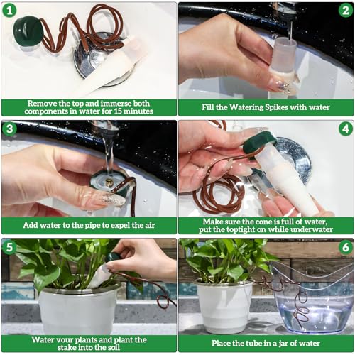 HESTYA 8 Pack Plant Self Watering Stakes Insert Automatic Watering Devices Self Watering Spikes Indoor Outdoor Plant Watering for Vacation - Image 3