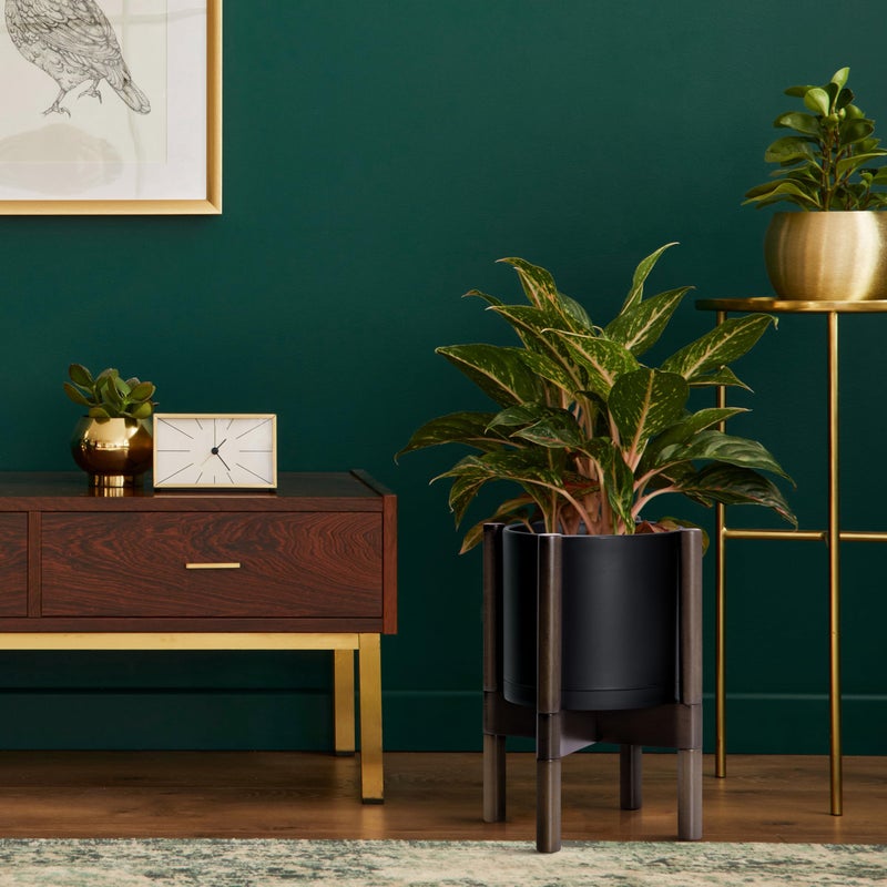 D'vine Dev Planter Pot with Stand - 8 Inch Plastic Cylinder Flower Pot with Wood Planter Holder for Indoor, Matte Black Pot + Walnut Color Stand, 55-C-I-2 - Image 4