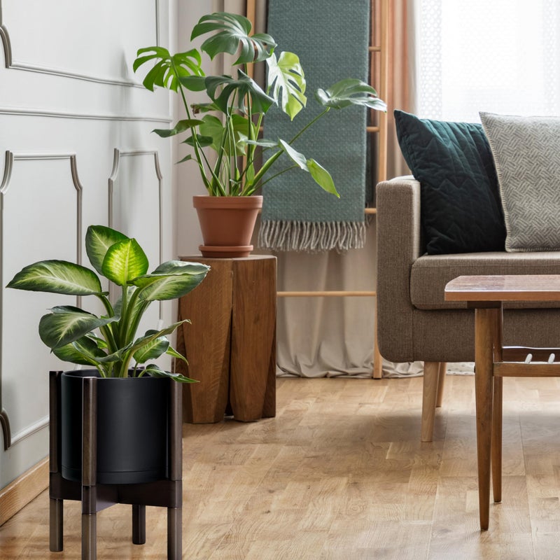 D'vine Dev Planter Pot with Stand - 8 Inch Plastic Cylinder Flower Pot with Wood Planter Holder for Indoor, Matte Black Pot + Walnut Color Stand, 55-C-I-2 - Image 2