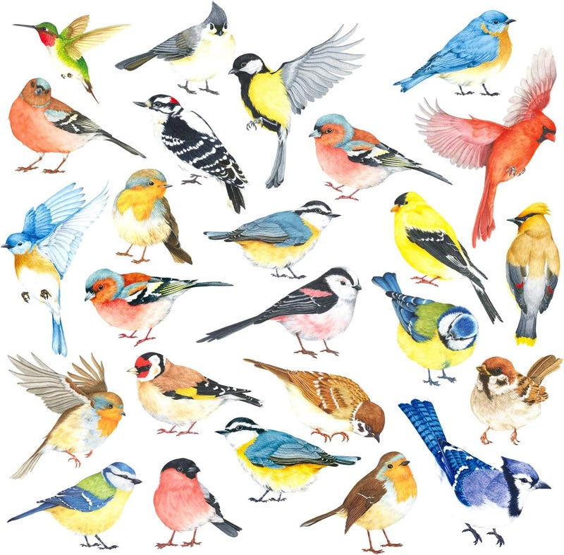 DECOWALL DS48063 25 Little Birds Wall Art Decals Stickers Kids Peel and Stick Removable Nursery Bedroom Living Art dcor Tree Flying Branch DIY Vinyl Home Decoration Flower Watercolor Colorful - Image 1