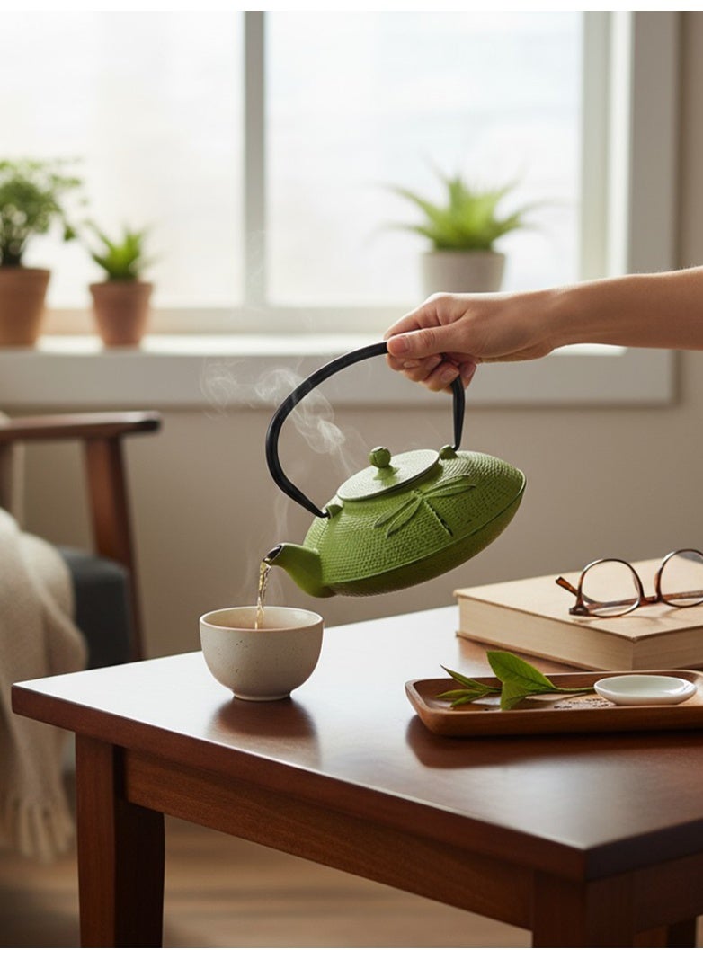 تيلاند غلاية شاي تي لاند يابانية Tetsubin من الحديد الزهر مع مصفاة من الفولاذ المقاوم للصدأ، باللون الأسود سعة 1.1 لتر، بتصميم اليعسوب الأخضر - Image 4