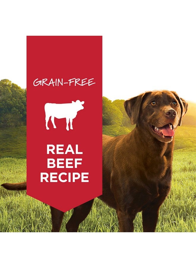 غريزة طعام الكلاب الرطب الأصلي من إنستينكت، خالي من الحبوب - لحم بقري حقيقي، علب سعة ١٣.٢ أونصة (عبوة من ٦ قطع) - Image 2