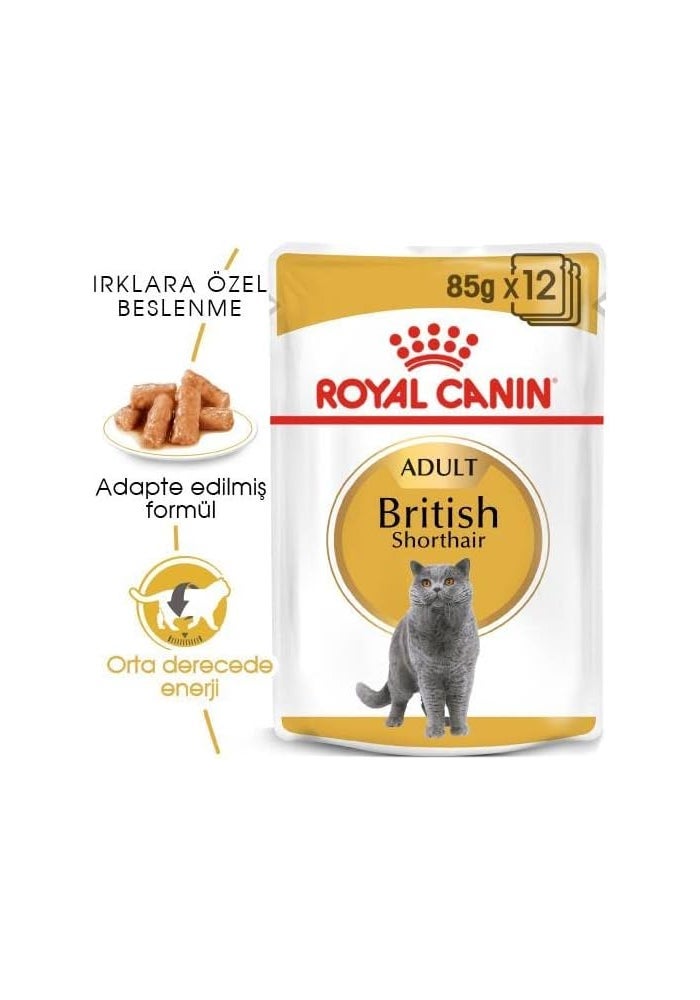ROYAL CANIN طعام رويال كانين للقطط البريطانيا قصيرة الشعر للبالغين - 85 جرام - Image 2