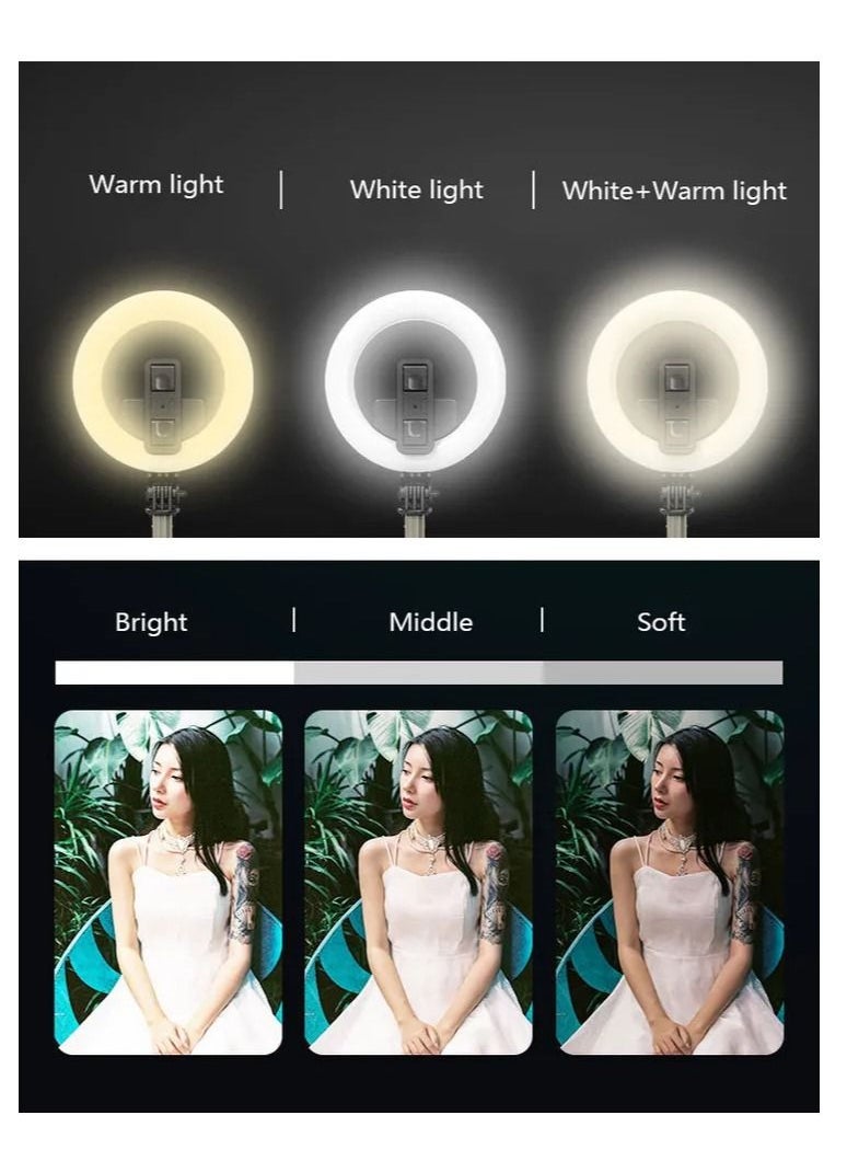 Generic - L07 Tiktok Stretchable Tripod Stand With Ring Light And Wireless Remote - Image 1