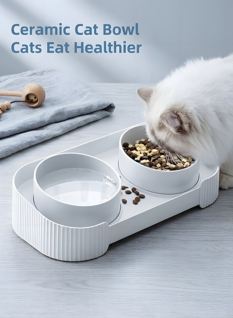 بيوينتي بيونتي وعاء طعام للقطط والكلاب المرتفع المائل، وعاء طعام للحيوانات الاليفة الصغيرة، واقي للعمود الفقري، طبق تغذية مزدوج الاستخدام للطعام والماء، يمنع التدفق العكسي - Image 2