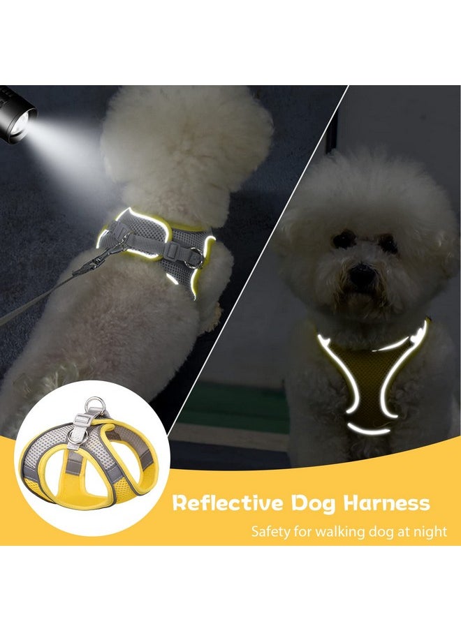 Dog Cat Harness For Small Pets No Pull Puppy Cats Vest Harness Adjustable Reflective Breathable Mesh Lightweight Harnesses Leash Set Escape Proof For Walking Training - pzsku/Z209EB3BFDCF8915543E3Z/45/_/1728309134/26fc04ad-4475-44c5-9497-20e75e01c5da