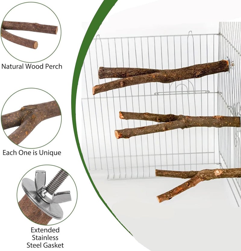 Ompinda Wood Bird Perches Platform,Ompinda 5 Pieces Natural Wood Bird Parrot Perch Stand Parakeet Climbing Standing Branches for Parrotlets Budgies Cockatiels Parakeets Lovebirds - Image 3