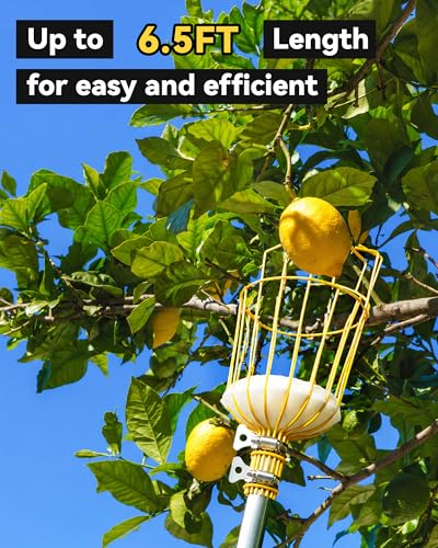 BlumeTrec 6.5FT Fruit Picker Pole Tool with Basket, Fruits Picking Tool with 35–77 Inch Adjustable Lightweight Stainless Steel Pole and Big Basket - Image 4