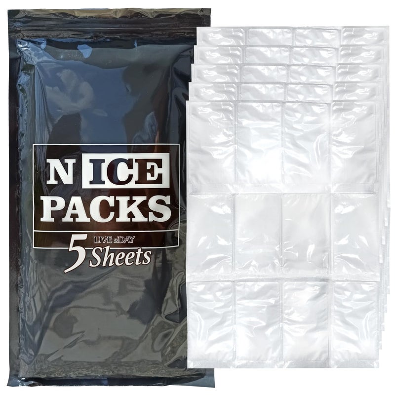 LIVE 2DAY Nice Packs Reusable Dry Ice Packs for Coolers Lunch Boxes Frozen Food Shipping  Flexible and Long Lasting 5 Extra Large Sheets