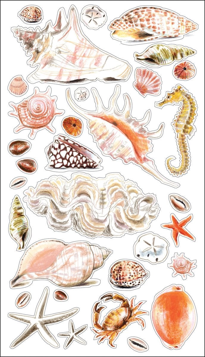 Sticko Sea Shells and Sand Stickers