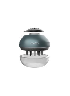 mriya mriya Scalp Applicator Comb Scalp Head Fluid Comb Essential Oil Hair Treatment Head Brush 