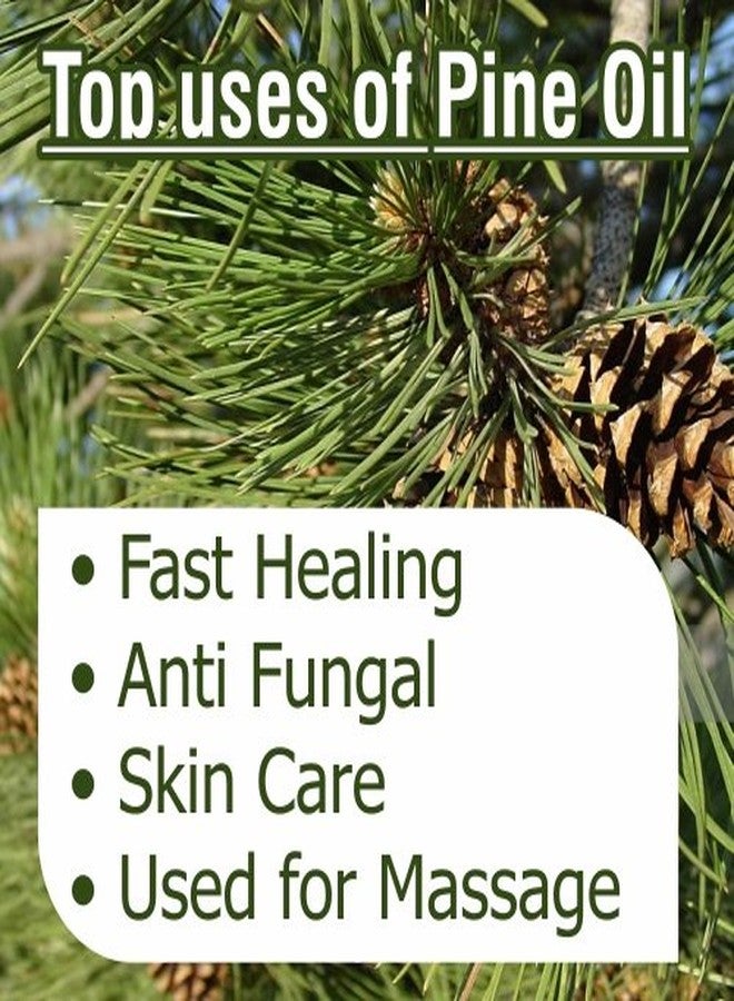 Salvia Pine Oil with Dropper 100% Natural Pure Undiluted Uncut Essential Oil 500ml - Image 4