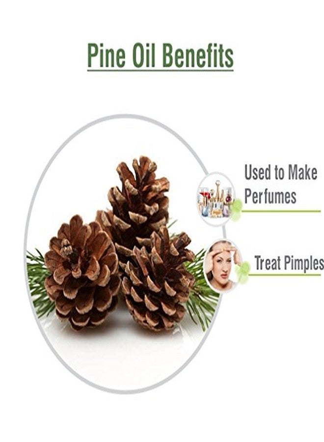 Salvia Pine Oil with Dropper 100% Natural Pure Undiluted Uncut Essential Oil 500ml - Image 2