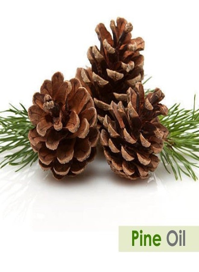 Salvia Pine Oil with Dropper 100% Natural Pure Undiluted Uncut Essential Oil 500ml - Image 1