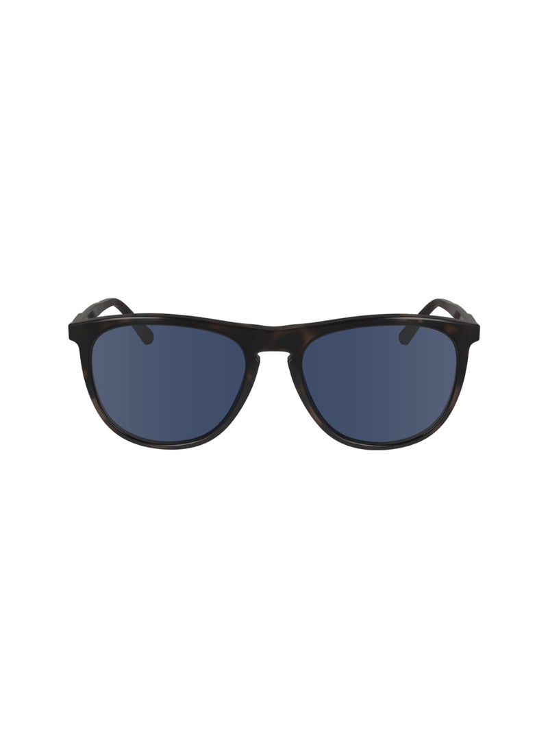 CALVIN KLEIN نظارات شمسية كاملة الإطار من الأسيتات طراز طيار من كالفن كلاين CK24508S 5518 (240) هافانا - Image 1