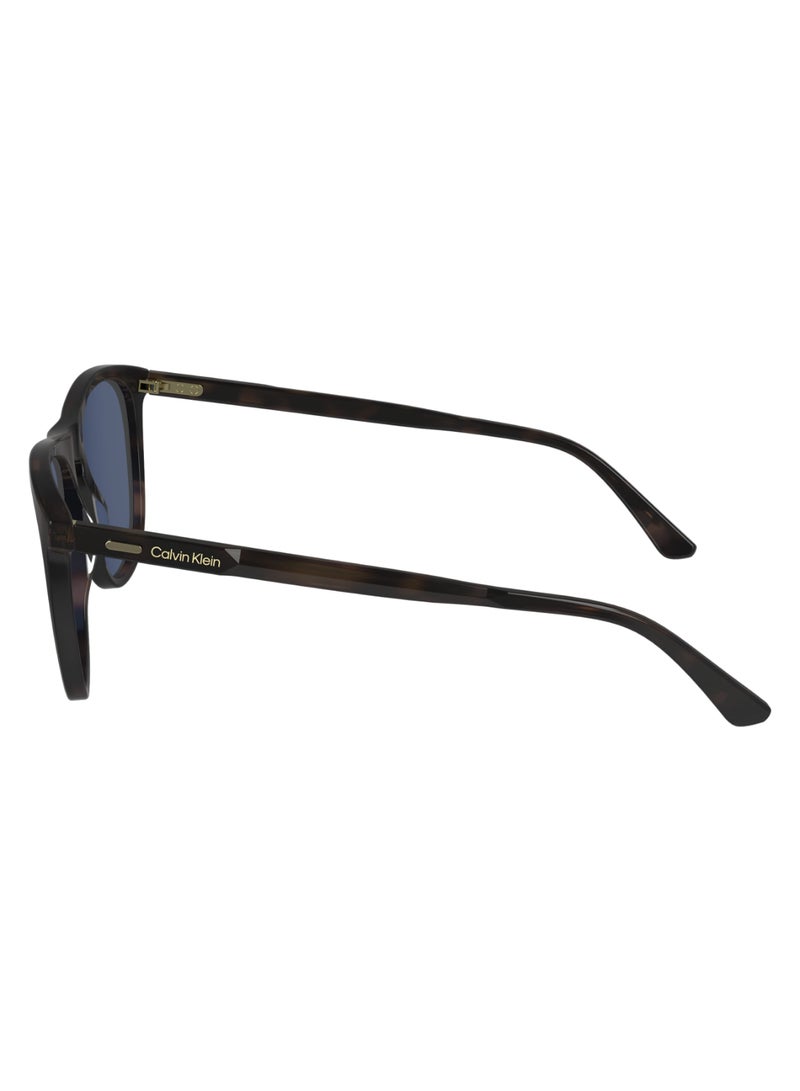 CALVIN KLEIN نظارات شمسية كاملة الإطار من الأسيتات طراز طيار من كالفن كلاين CK24508S 5518 (240) هافانا - Image 4