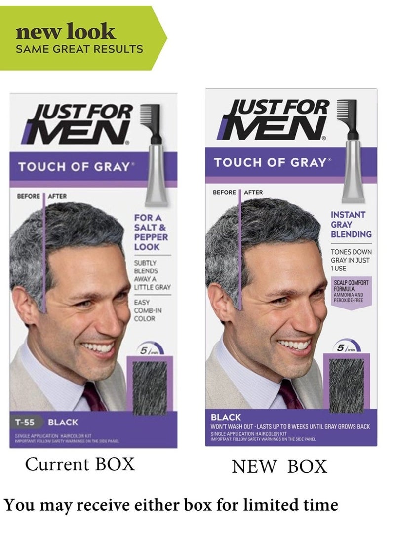 Just For Men Touch of Gray, Hair Coloring with Comb Applicator,  Black - Image 2