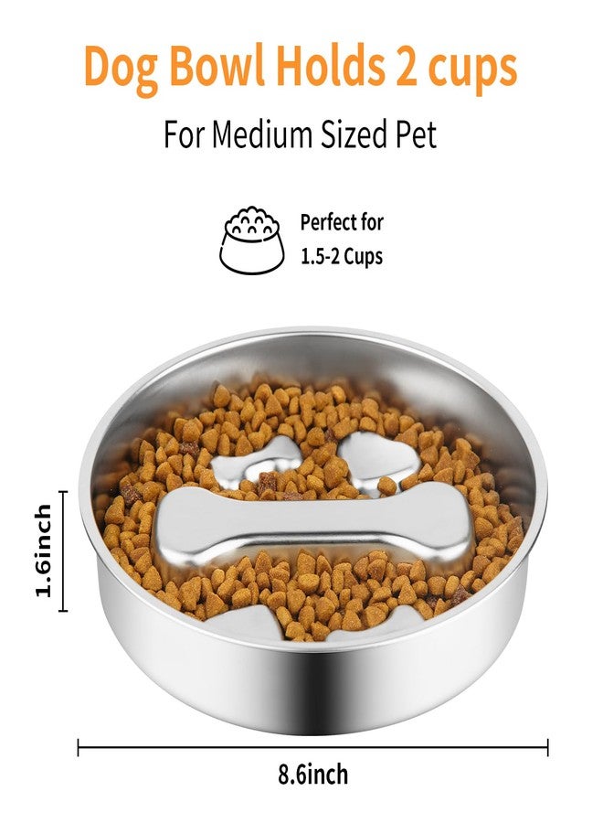 Novery Slow Feeder Dog Bowl - 2 Cups Stainless Steel Dog Slow Feeder Food Bowl, Metal Non-Slip Lick Plate,Puppy or Cat Food Holder,Pet Supplies,Puzzle Maze Dish for Medium Sized Breeds - Image 2