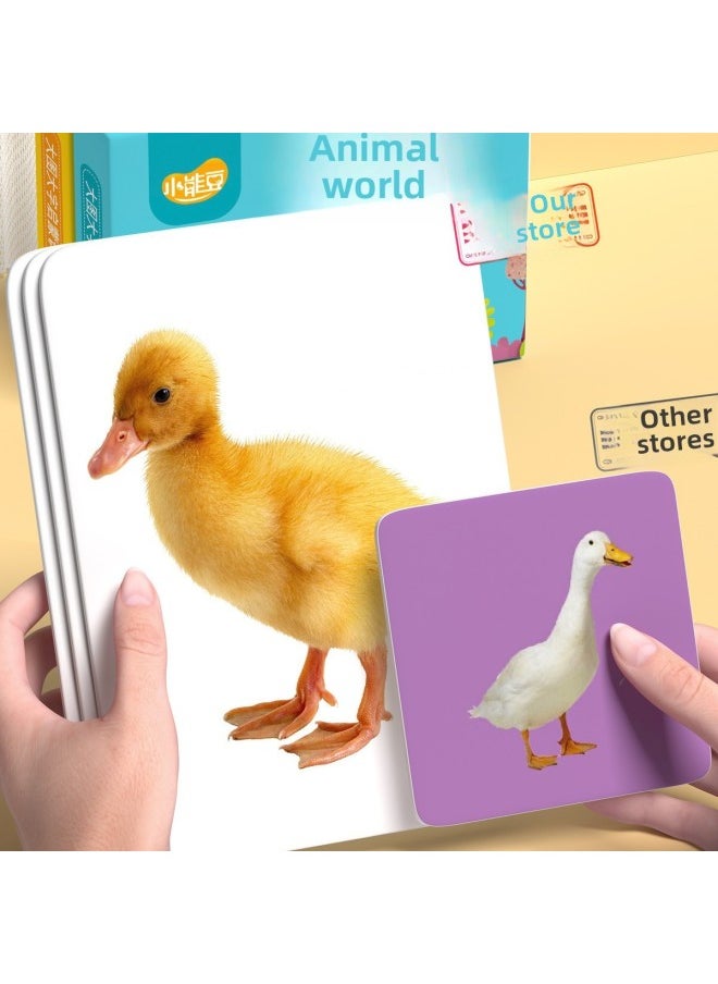 Generic - Animal Cognition Card Baby Early Education Infant Reading Figure Recognition Enlightenment Book One-Year-Old Children Literacy Flash Card Complete Set-Specifications:[size] Animals + Fruits + Vegetables + Traffic + Characters + Numbers (648 Graphic And Texts) - Image 1