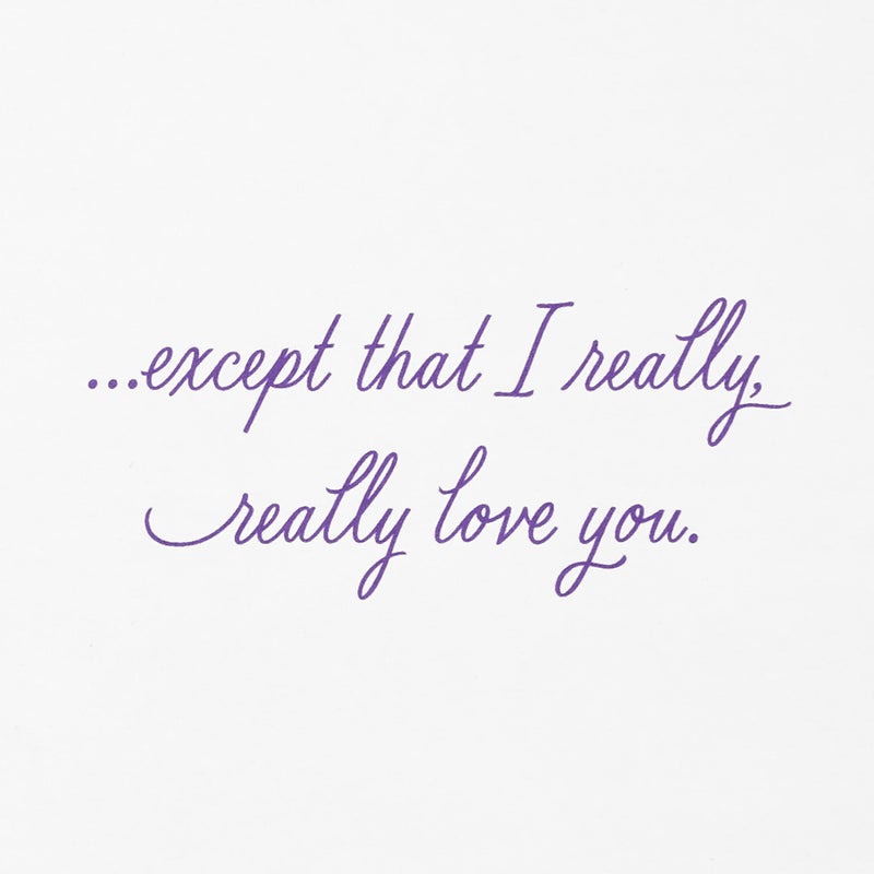 Hallmark Valentine's Day Card for Her (We're Meant to Be) for Anniversary, Romantic Birthday, Everyday Love - Image 3