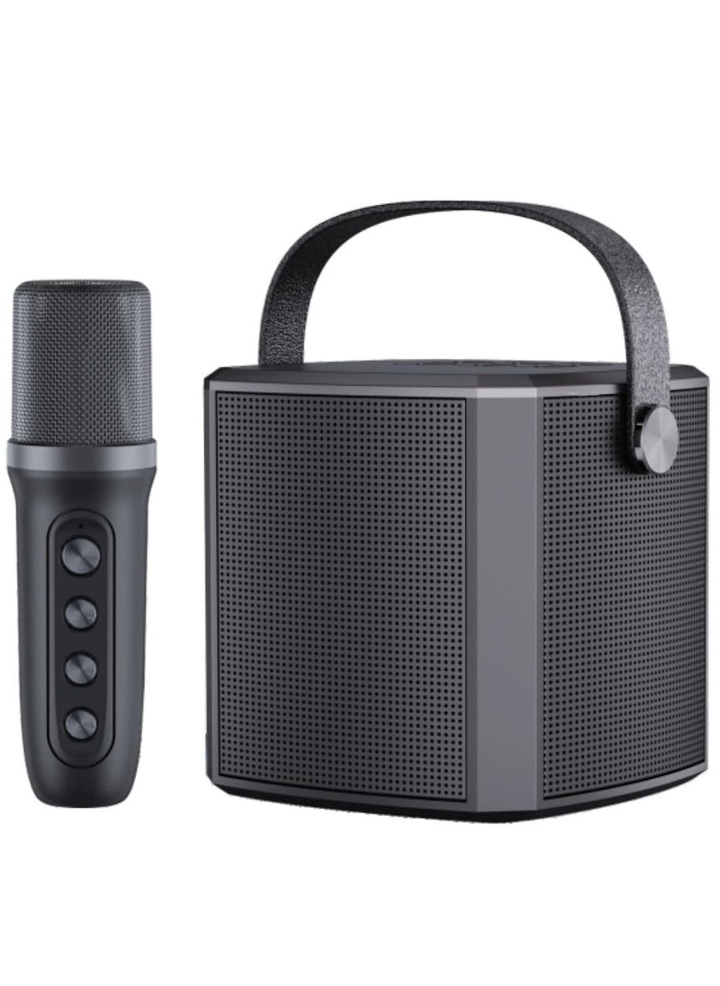 TIGER Bluetooth Karaoke Speaker for Kids & Family – Portable PA System with Professional Microphone, Built-In Speaker for Outdoor Singing, Karaoke Parties, Home Entertainment, and Fun Events - Image 1