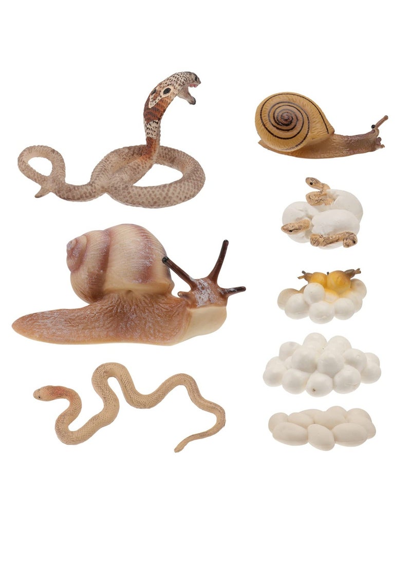 Simulated Animal Growth Cycle Model Kids Educational Supplies Snail Cobra Life Cycle Stages Toy Simulated Animal Model for Kids 2+ (Set of 2) - Image 1