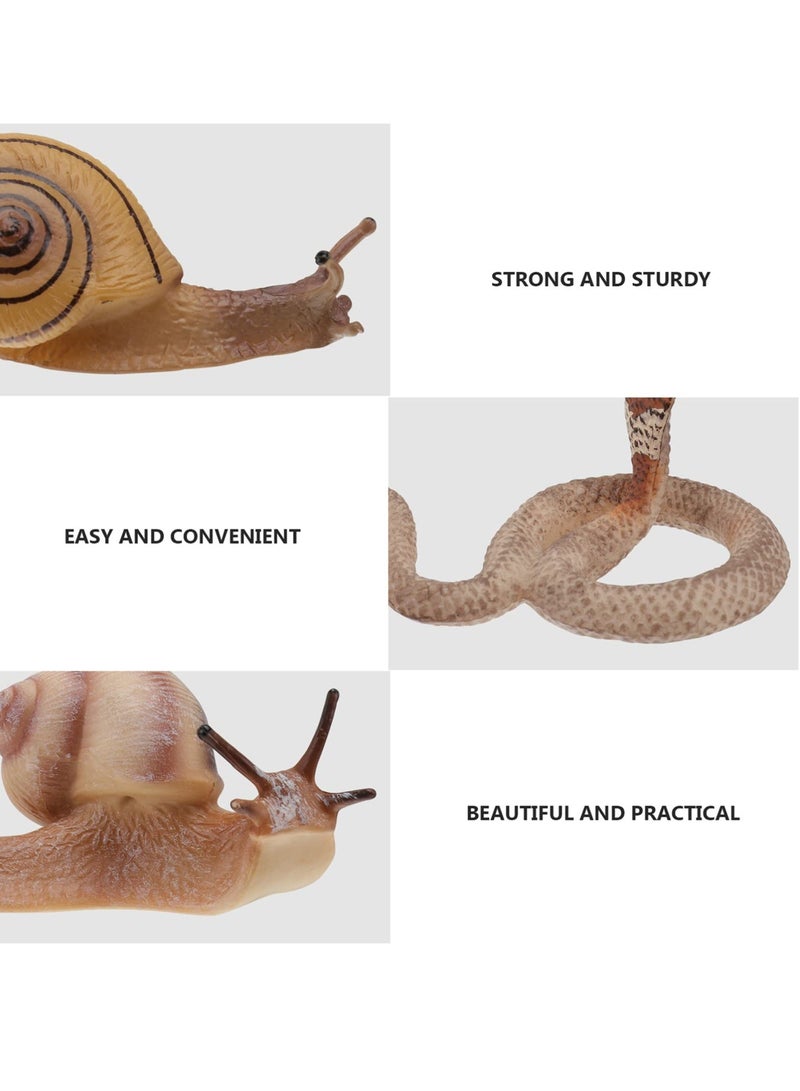 Simulated Animal Growth Cycle Model Kids Educational Supplies Snail Cobra Life Cycle Stages Toy Simulated Animal Model for Kids 2+ (Set of 2) - Image 2