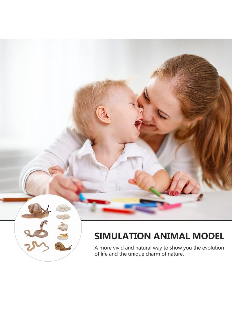Simulated Animal Growth Cycle Model Kids Educational Supplies Snail Cobra Life Cycle Stages Toy Simulated Animal Model for Kids 2+ (Set of 2) - Image 4