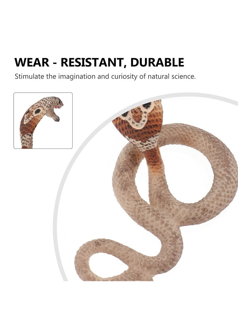 Simulated Animal Growth Cycle Model Kids Educational Supplies Snail Cobra Life Cycle Stages Toy Simulated Animal Model for Kids 2+ (Set of 2) - Image 5