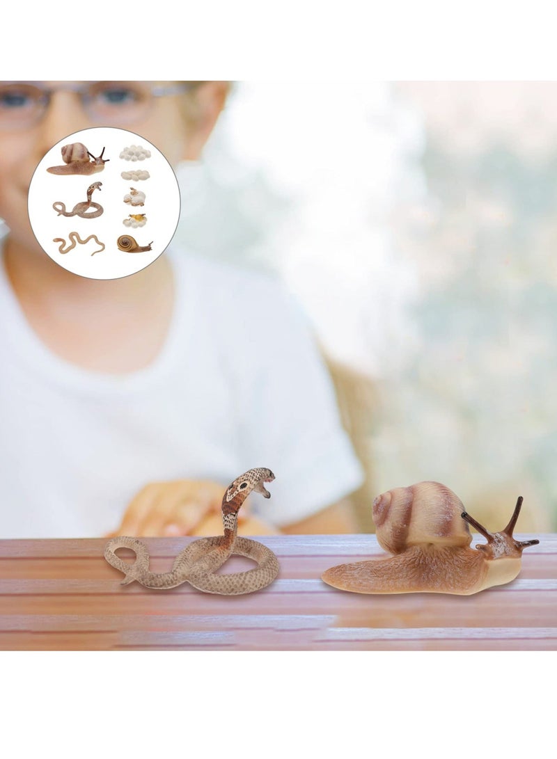 Simulated Animal Growth Cycle Model Kids Educational Supplies Snail Cobra Life Cycle Stages Toy Simulated Animal Model for Kids 2+ (Set of 2) - Image 3