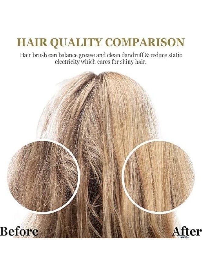 فرشاة شعر وسادية احترافية لفك التشابك وتصفيف الشعر – Cushion Paddle Brush لتدليك فروة الرأس – فرشاة شعر بلاستيك بكرات حماية – مضادة للهيشان للشعر الطويل والمتوسط – مناسبة للشعر الكيرلي والمفرود – فرشاة تمشيط يومية بمقبض مريح ووسادة مطاطية مرنة بفتحة تهوية - Image 4