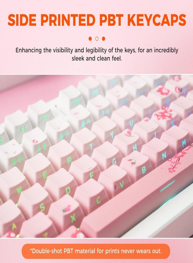 DAREU EK75PRO Sakura Pink Wireless Mechanical Gaming Keyboard,75% Hot Swap Creamy Keyboard with Knob,RGB Backlit,Gasket Custom Structure,Side Printed PBT Keycaps,2.4Ghz/BT5.1/USB-C, for Win/MAC - Image 3