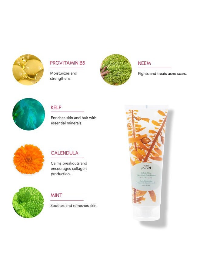 100 % Pure Kelp & Mint Volumizing Conditioner (8 Fl Oz), Sulfate Free Conditioner, Nourishing, For Hair Thickening, Organic Conditioner for Hair Growth - Image 3