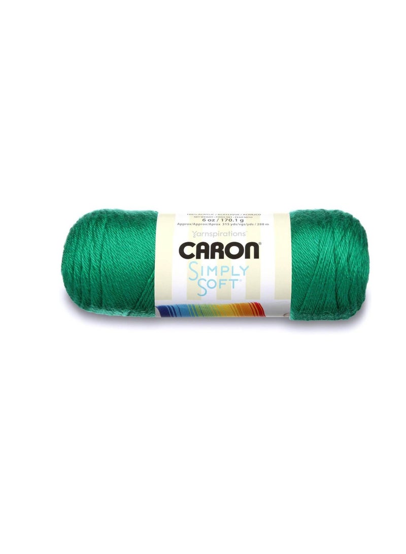 Caron Simply Soft Solids Yarn Kelly Green - Image 1