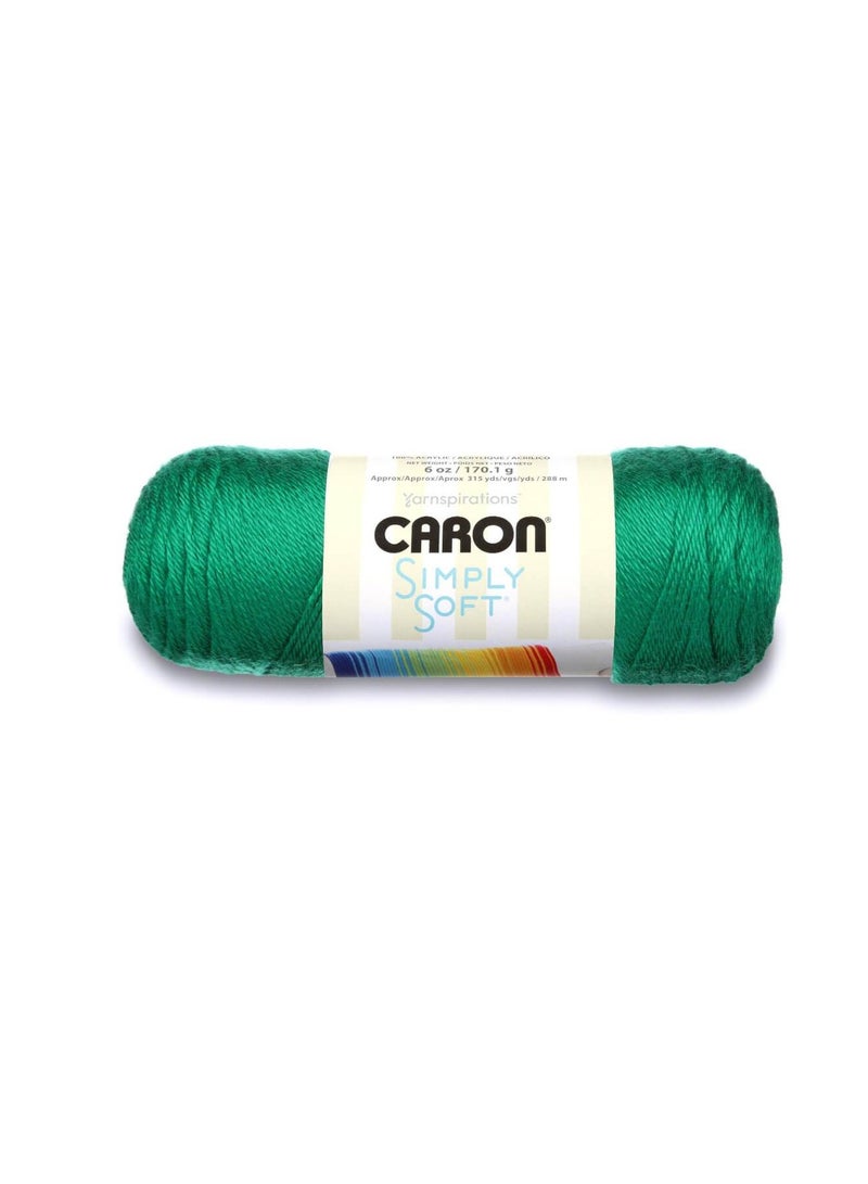 Caron Simply Soft Solids Yarn Kelly Green - Image 3