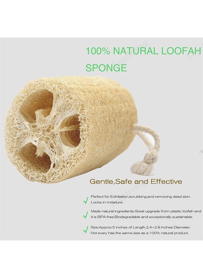 Tegelrying - Loofah Sponge Exfoliating,6 Packs Natural Loofa Large Back Scrubber for Men Women Bath Shower Body Skin Care Cleansing Luffa 5 inches Long - Image 1