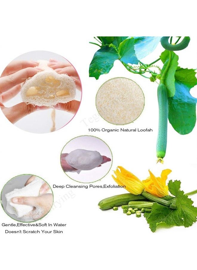 Tegelrying - Loofah Sponge Exfoliating,6 Packs Natural Loofa Large Back Scrubber for Men Women Bath Shower Body Skin Care Cleansing Luffa 5 inches Long - Image 1
