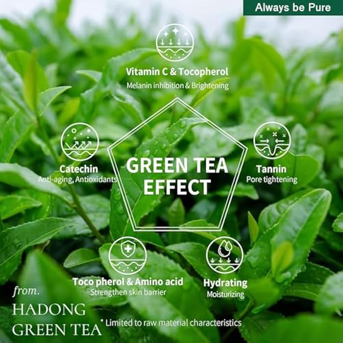 Always be Pure Green Tea Sleeping Mask 75ml – Rich Moisture Night Mask, Hypoallergenic, Calms Redness, Deep Hydration for Sensitive Skin, Non-Sticky Korean Skincare - Image 4