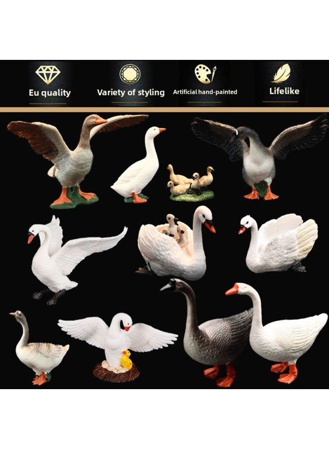 Children's Simulation Animal World Solid Plastic Toy Model Swan Chicken Duck Goose Poultry Model-Color:Goose 1282 - Image 4