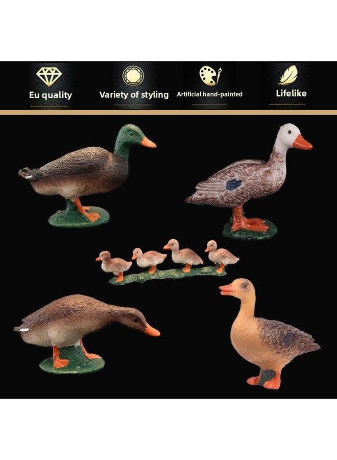 Children's Simulation Animal World Solid Plastic Toy Model Swan Chicken Duck Goose Poultry Model-Color:Goose 1282 - Image 5